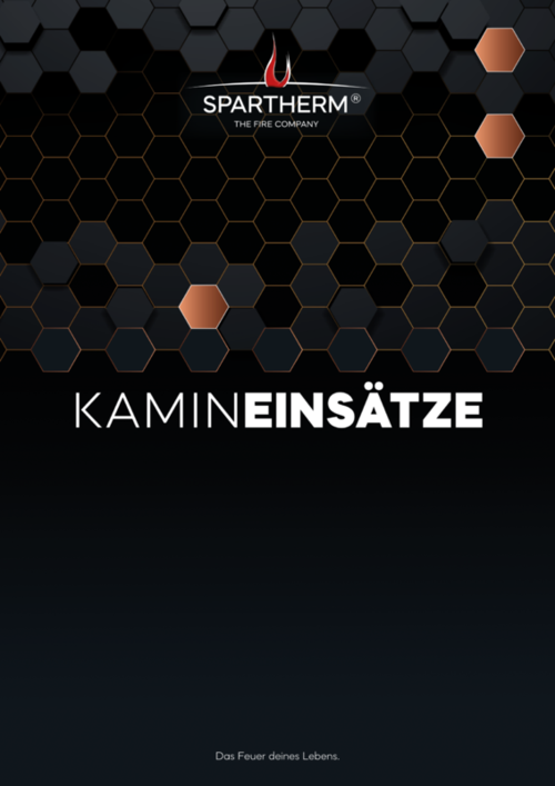 DE_Prospekt_Kamineinsaetze_1094048-02_2026-2S.pdf Leaflet